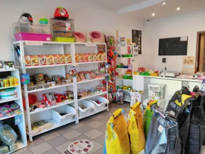 PSIA KOŚĆ PROFESJONALNE STRZYŻENIE PSÓW